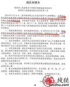 河南郑州房东最新爆料,揭秘郑州租房市场的最新动态与困境